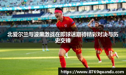 北爱尔兰与波黑激战在即球迷期待精彩对决与历史交锋